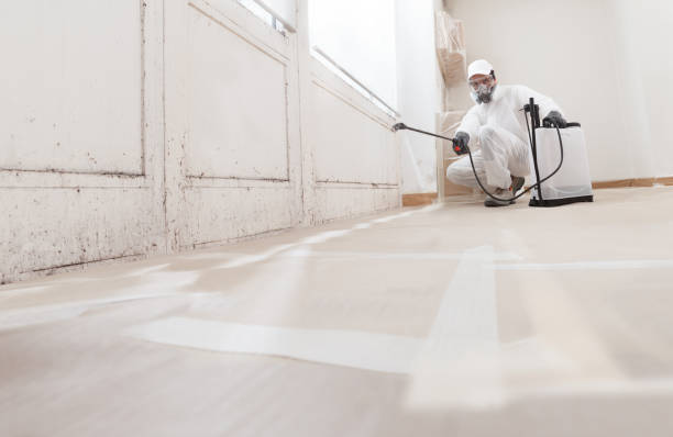 24/7 Emergency Mold Removal experts in Round Rock, TX